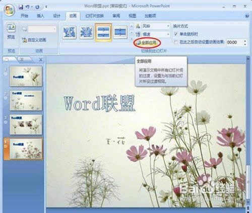 powerpoint2007設(shè)置圖片的切換效果