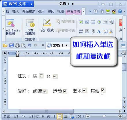 WPS文字技巧：如何插入單選按鈕與復選框