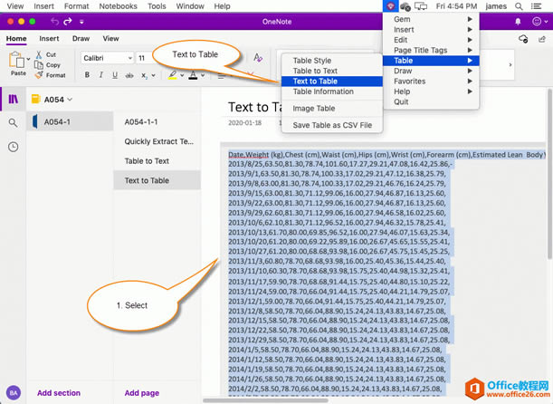  OneNote D(zhun)Qһʽı