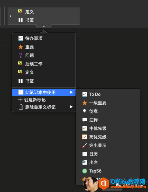 OneNote ˺ʹüɼ̳