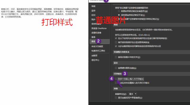 OneNote PDFļĴӡʽcDƬɶ^(q)e